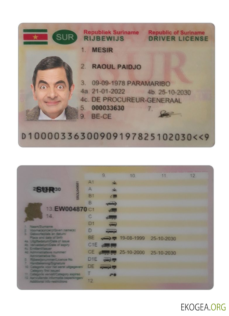 Suriname driving license 2022 present